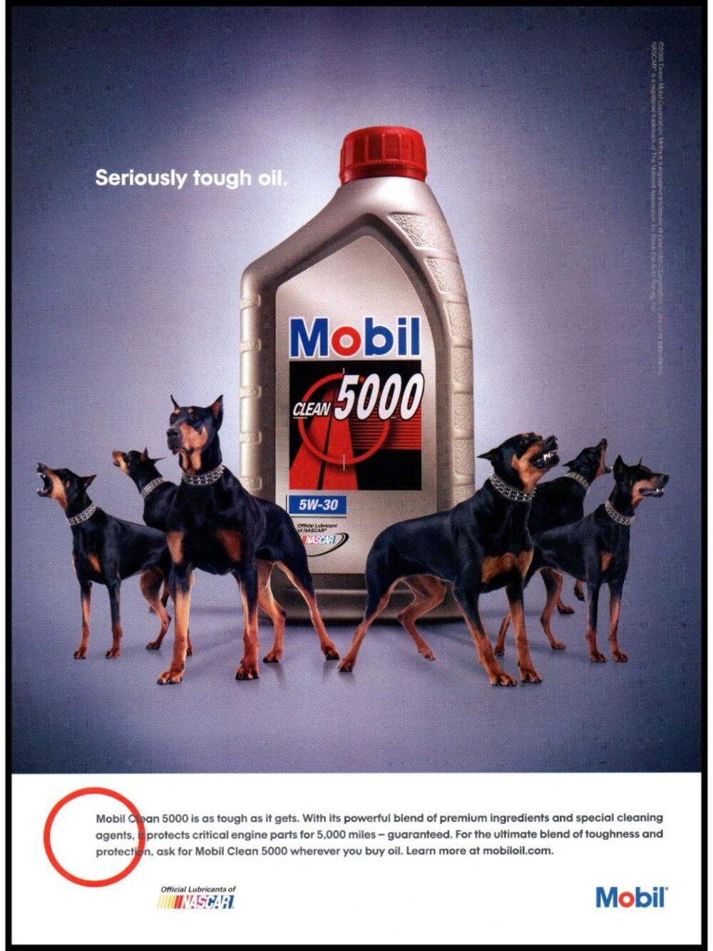 2006 Mobil Clean 5000 Motor Oil Vintage Print Ad Dog Rottweiler Tough Wall Art